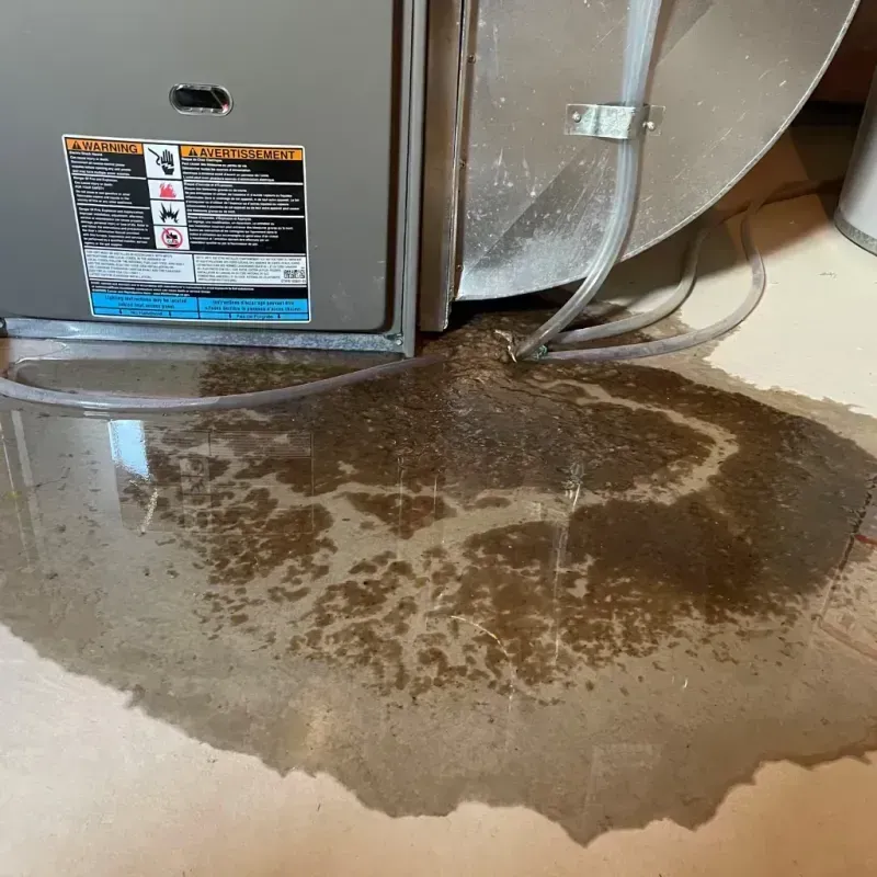 Appliance Leak Cleanup in Bedford, MA